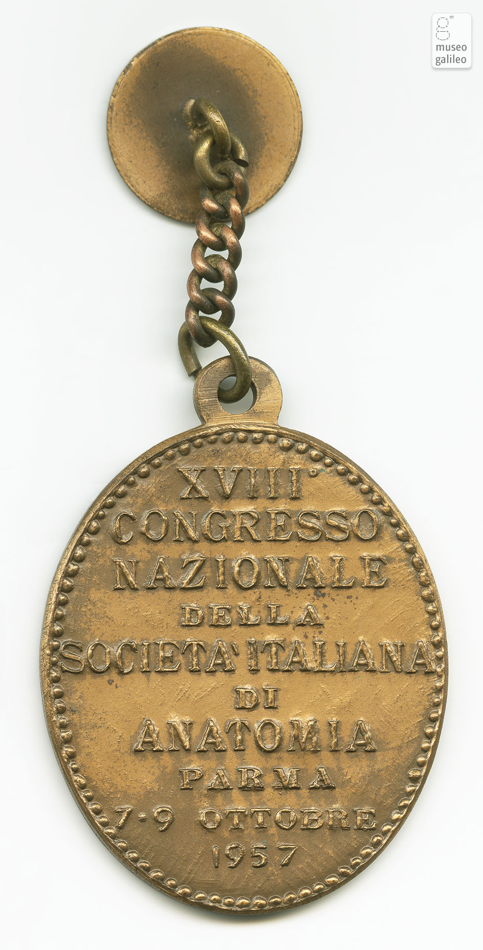 Congresso Nazionale della Società Italiana di Anatomia (Parma, 1957) - reverse