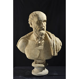 Male bust, so-called Diogenes