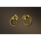 Pair of earring with lion protome