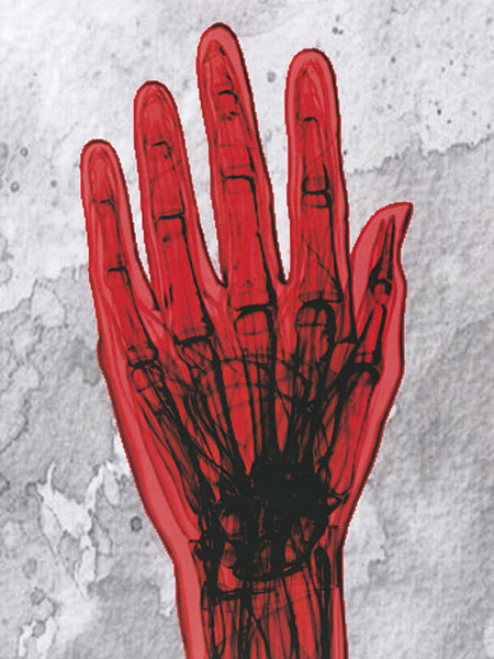 Bones of the human hand.