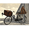 The wool carder’s bicycle