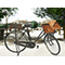 The postman’s bicycle