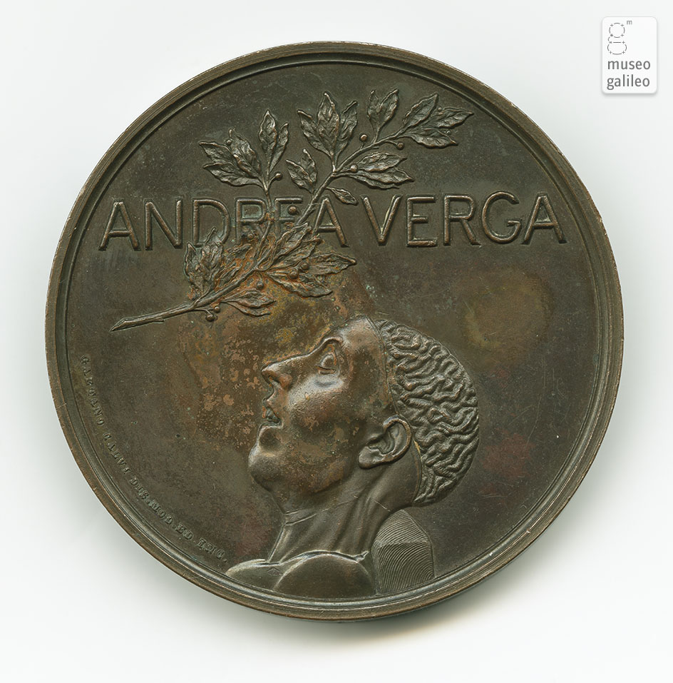 Andrea Verga - reverse