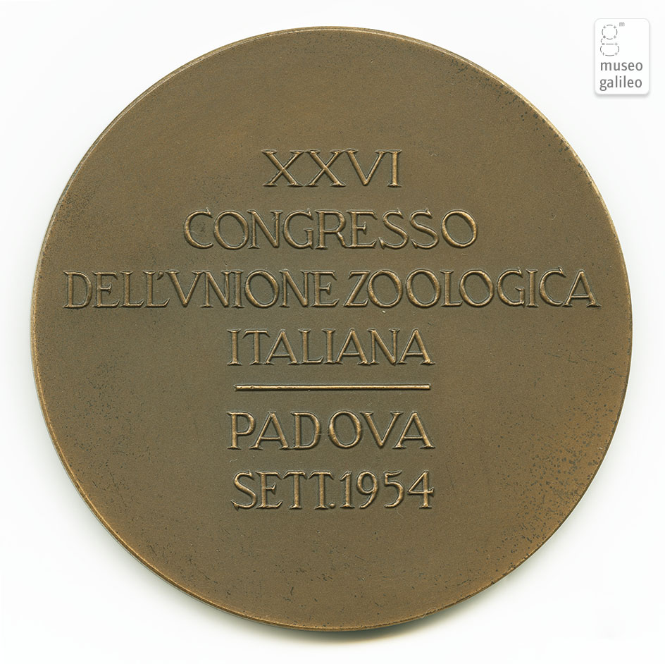 Congresso dell'Unione Zoologica Italiana (Padova, 1954) - reverse