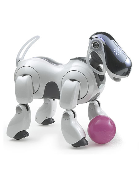 Aibo, the robot dog designed and manufactured by Sony.