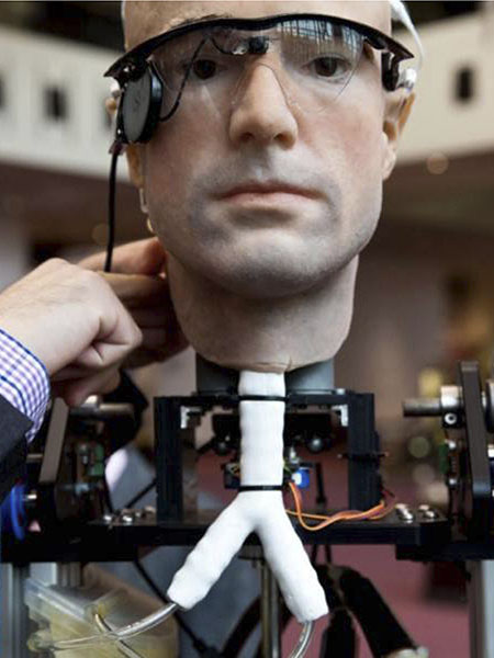 Frank (a nickname for Frankenstein) is a bionic robot man built by prostheses and synthetic organs.