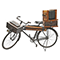 The photographer’s bicycle