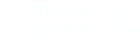 Logo Museo Galileo